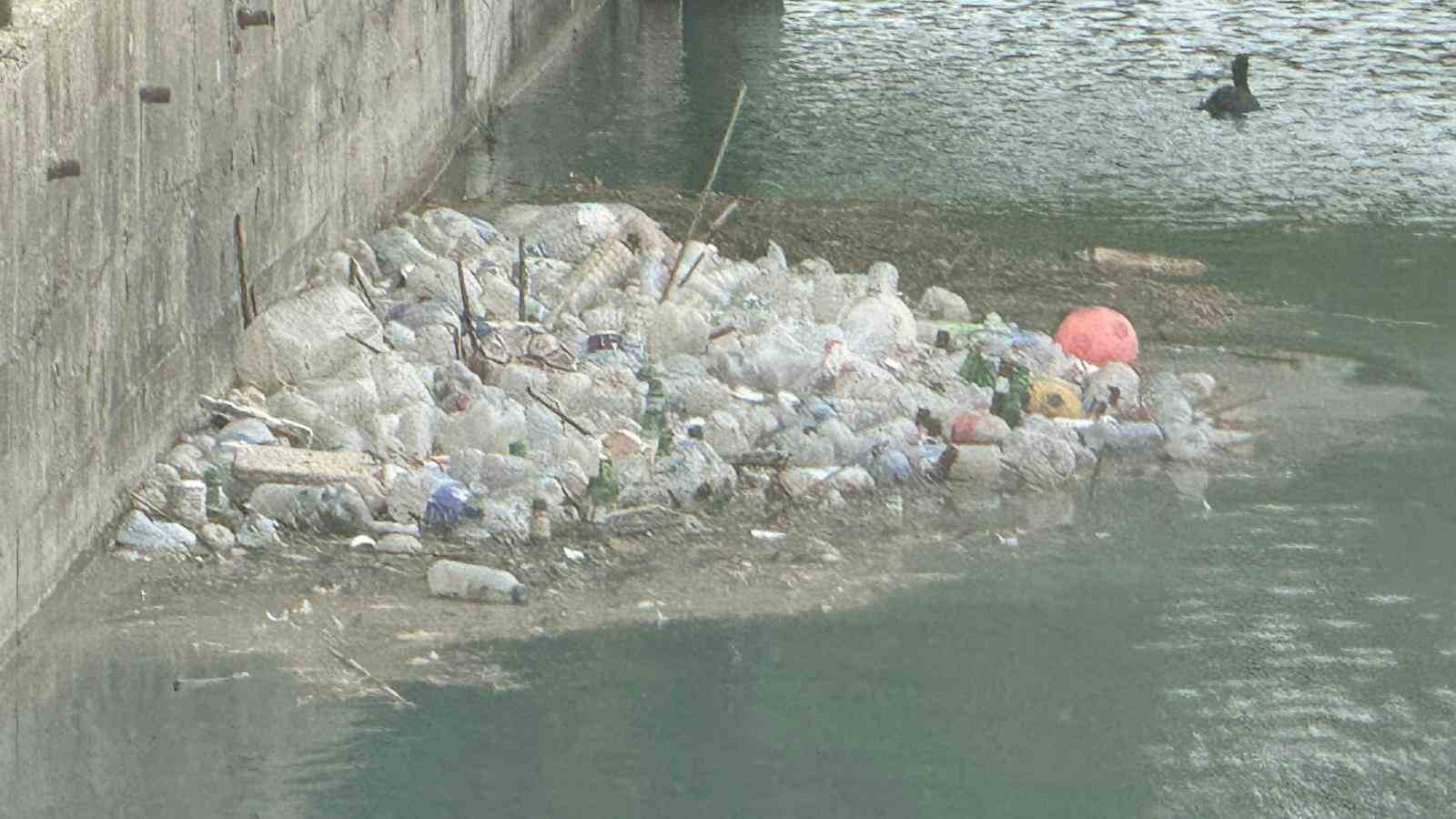 Seyhan Nehri yosun akınına uğradı, çöplerle doldu
