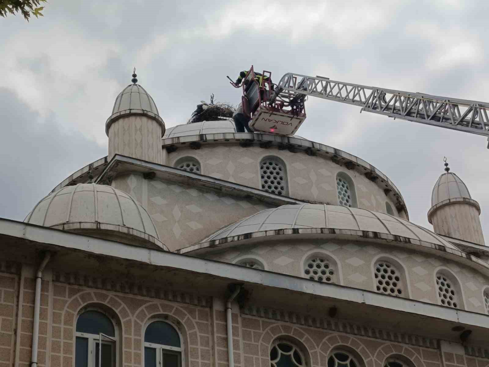 Cami kubbesinde mahsur kalan leyleği itfaiye kurtardı