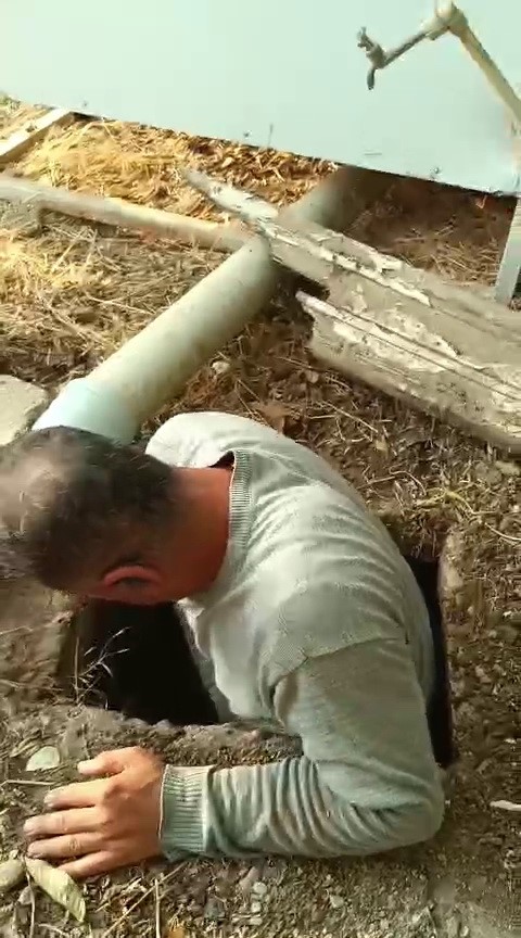 Lağım kuyusuna düşen yavru köpekleri vatandaşlar kurtardı