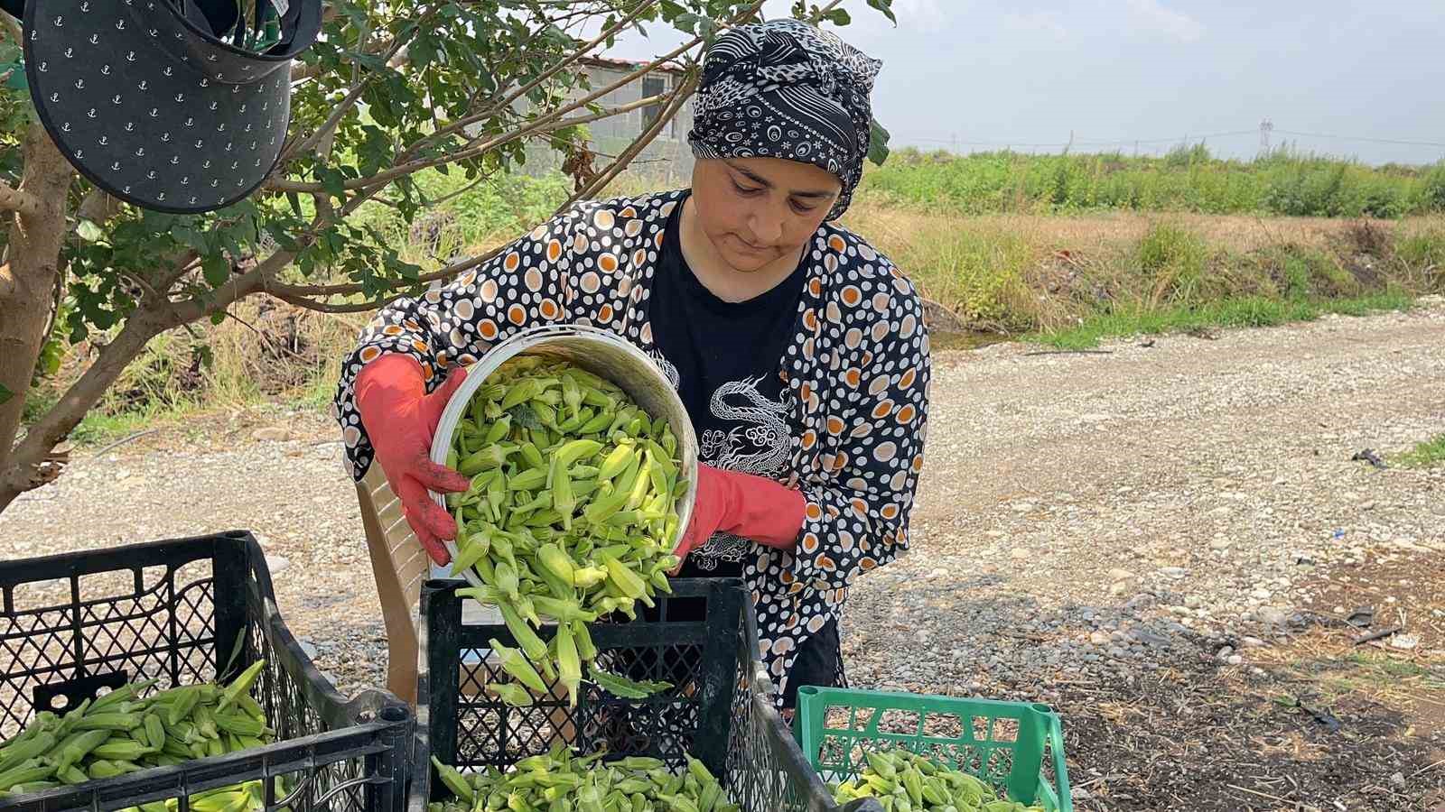 Osmaniye&rsquo;de doğa ve hayvan sevgisi aynı toprakta filizleniyor
