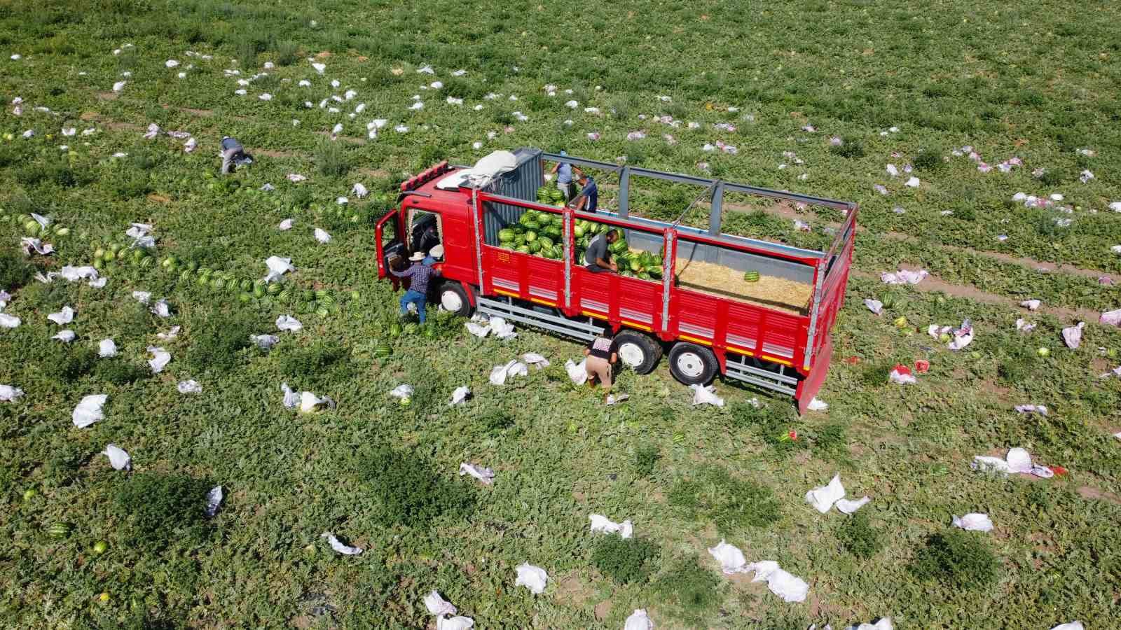 Bir&ccedil;ok şehirde karpuz hasadı sona yaklaşırken, Yozgat&rsquo;ta hasat yeni başladı
