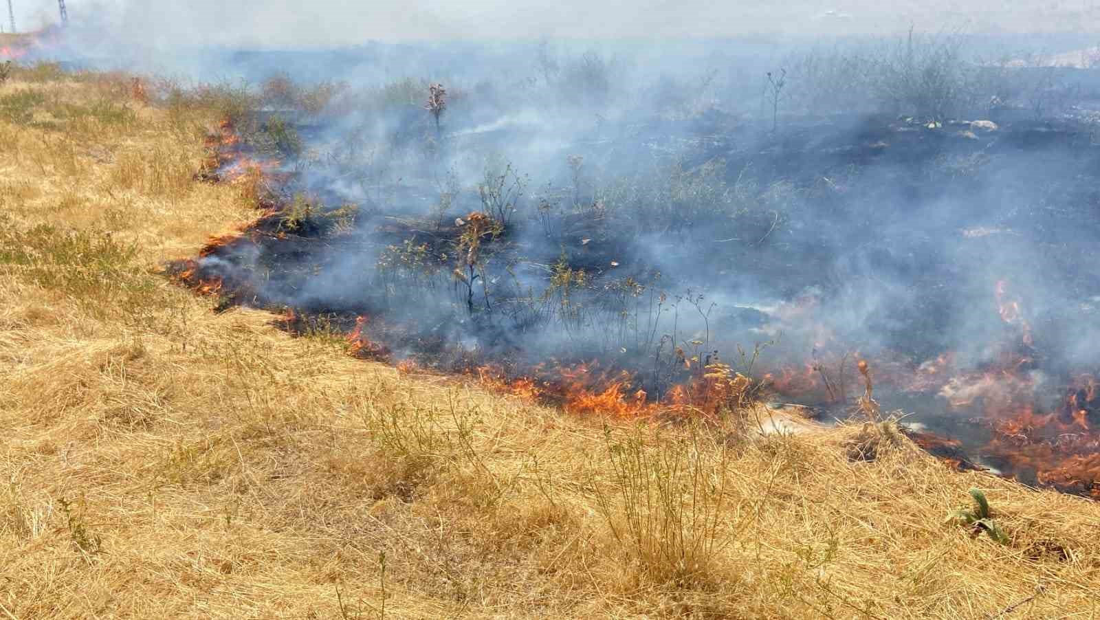 Adilcevaz&rsquo;da arpa tarlasında yangın
