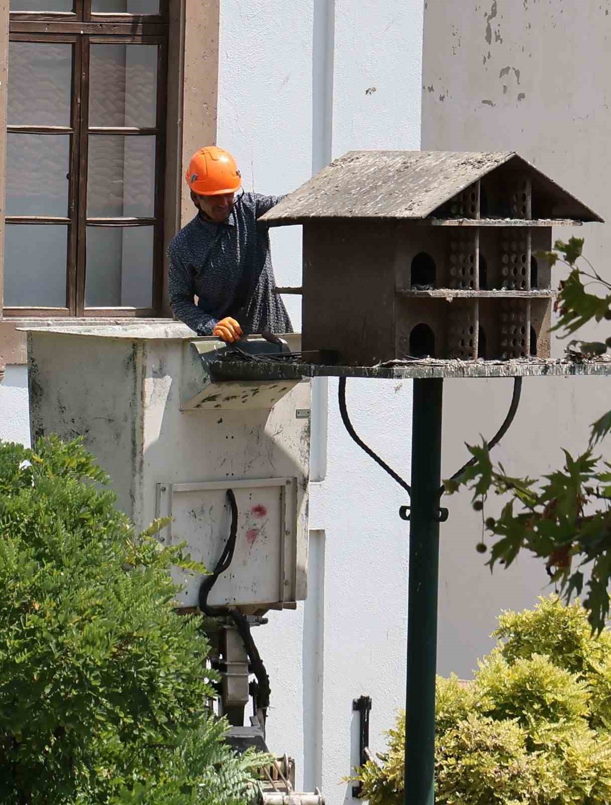 Menteşe’de güvercin yuvalarında temizlik yapıldı