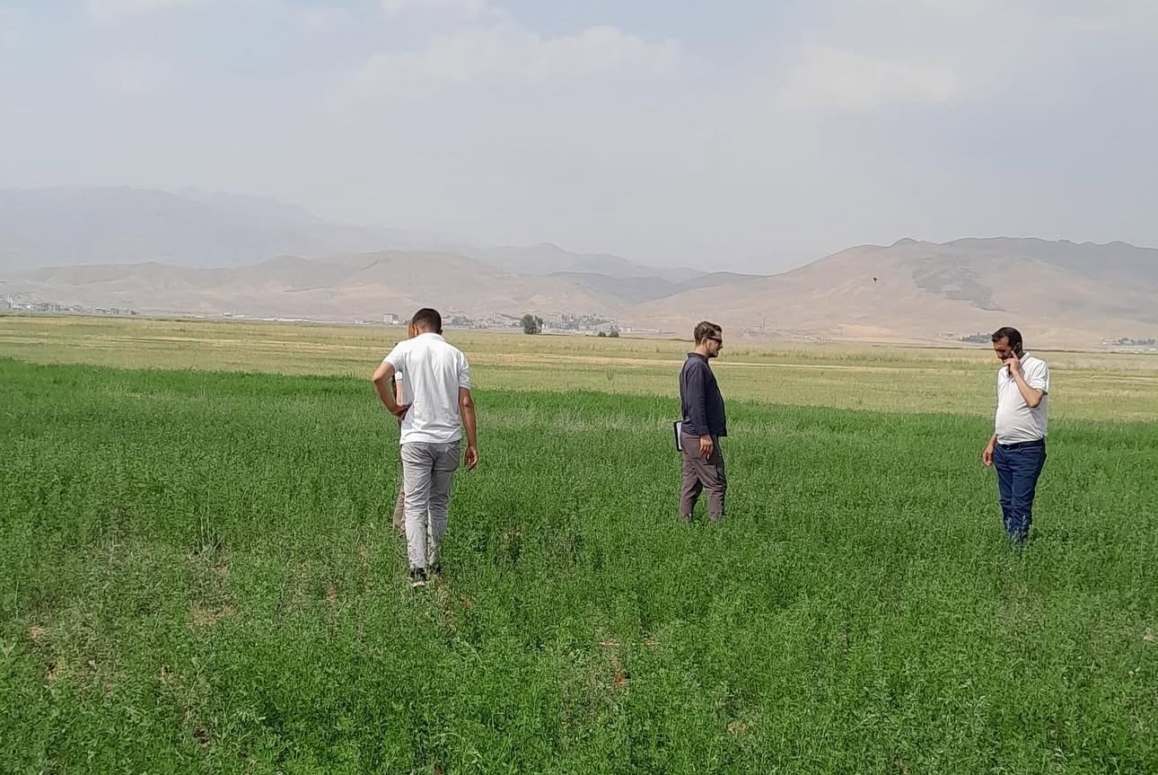 Y&uuml;ksekova&rsquo;nın ovasında yem bitkileri incelendi
