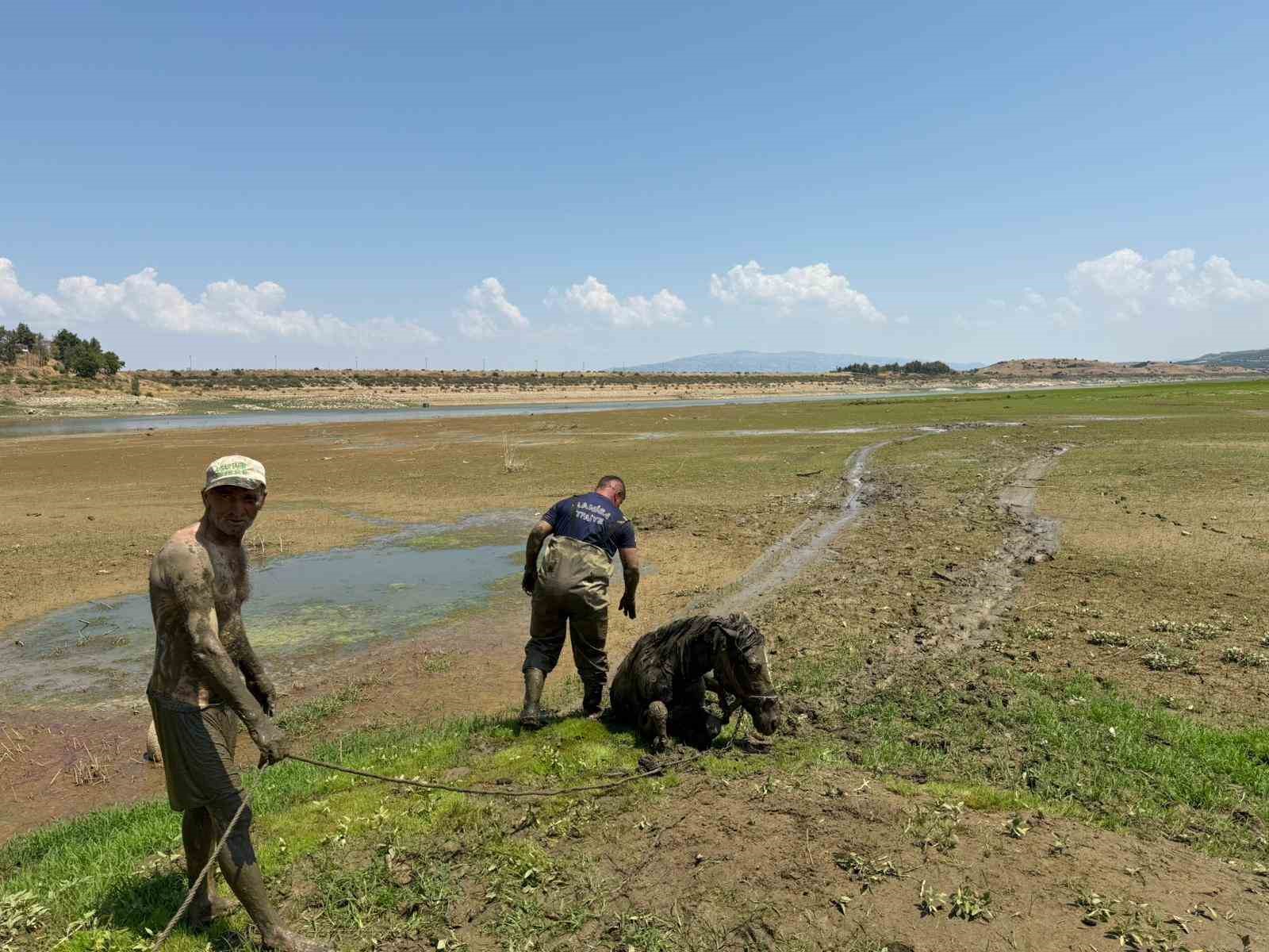 Katırlarını kurtarmak isterken kendisi de battı