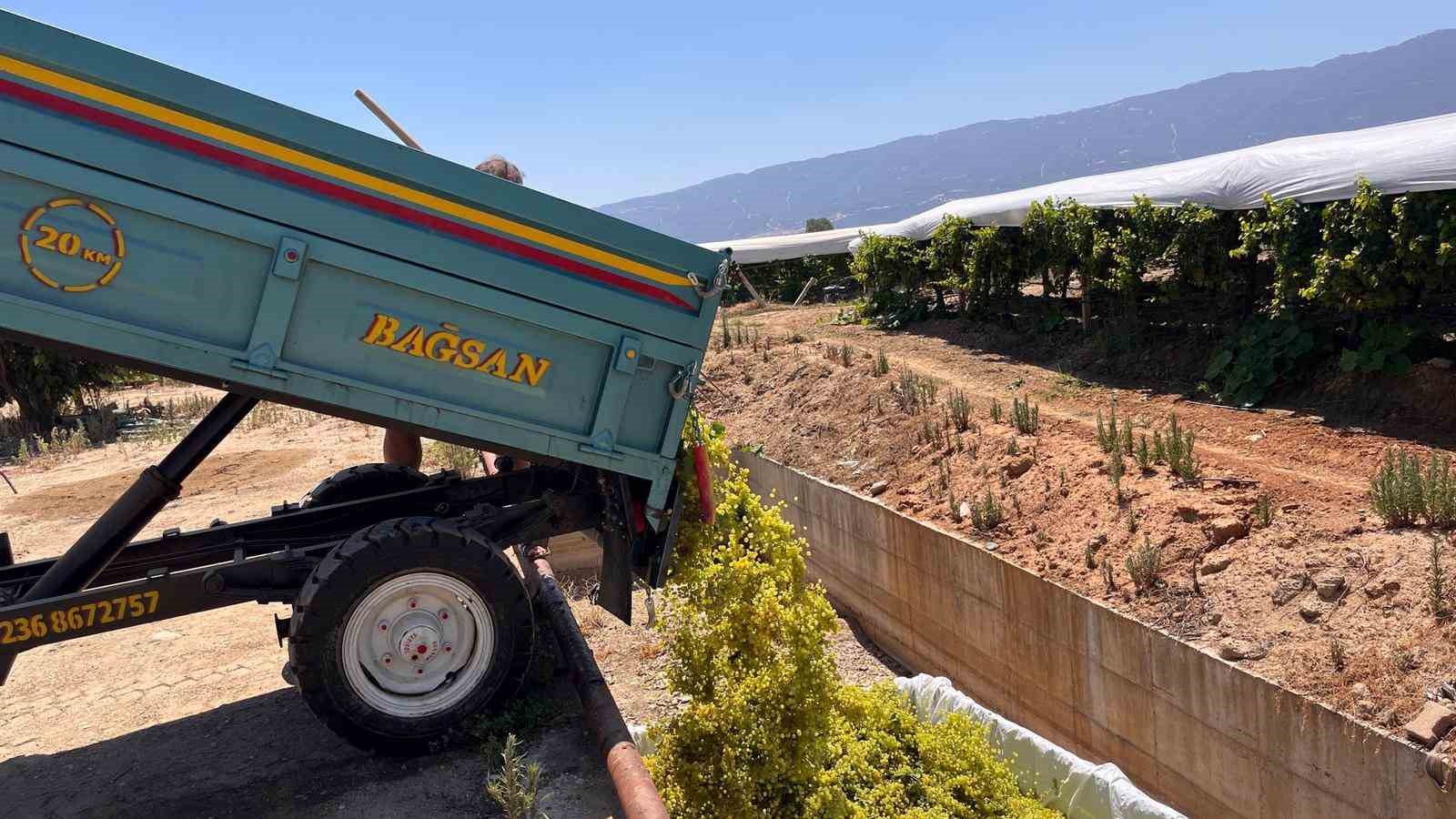 Sarıg&ouml;l&rsquo;de &ccedil;ıkma &uuml;z&uuml;m 16 TL&rsquo;ye y&uuml;kseldi
