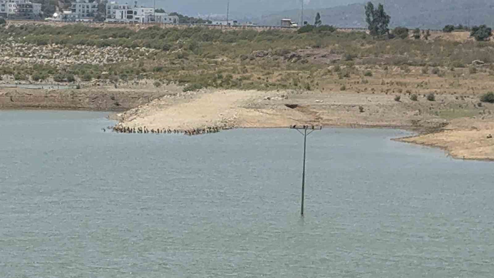 Bodrum’da su alarmı: "Barajlar kritik seviyeye geriledi"