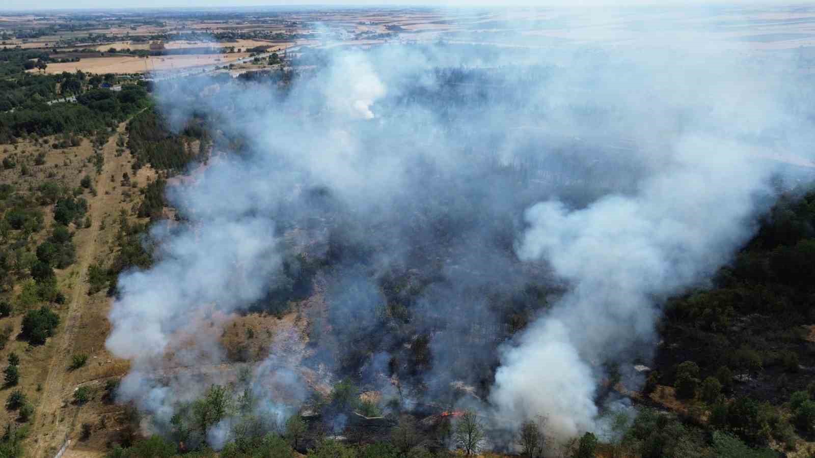Babaeski’de yanan ormanlık alan havadan görüntülendi
