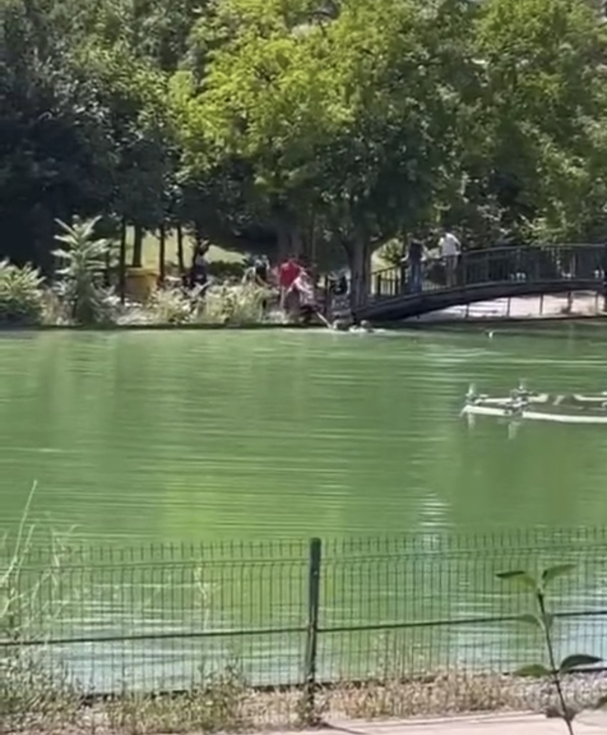 Göletli Park’ta korku dolu anlar: Suya düşen çocuk vatandaşlar tarafından kurtarıldı