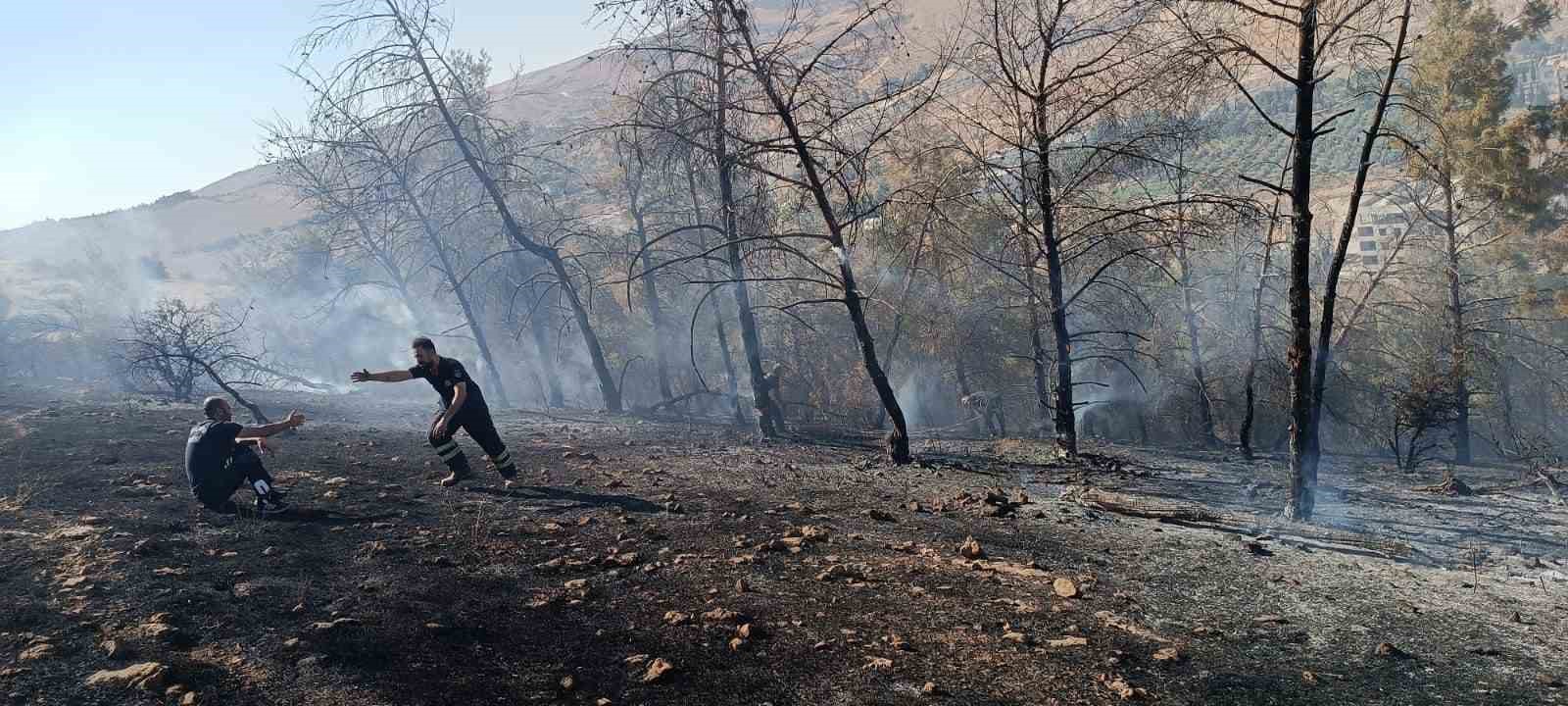 Şanlıurfa&rsquo;da ağa&ccedil;lık alanda &ccedil;ıkan yangın s&ouml;nd&uuml;r&uuml;ld&uuml;
