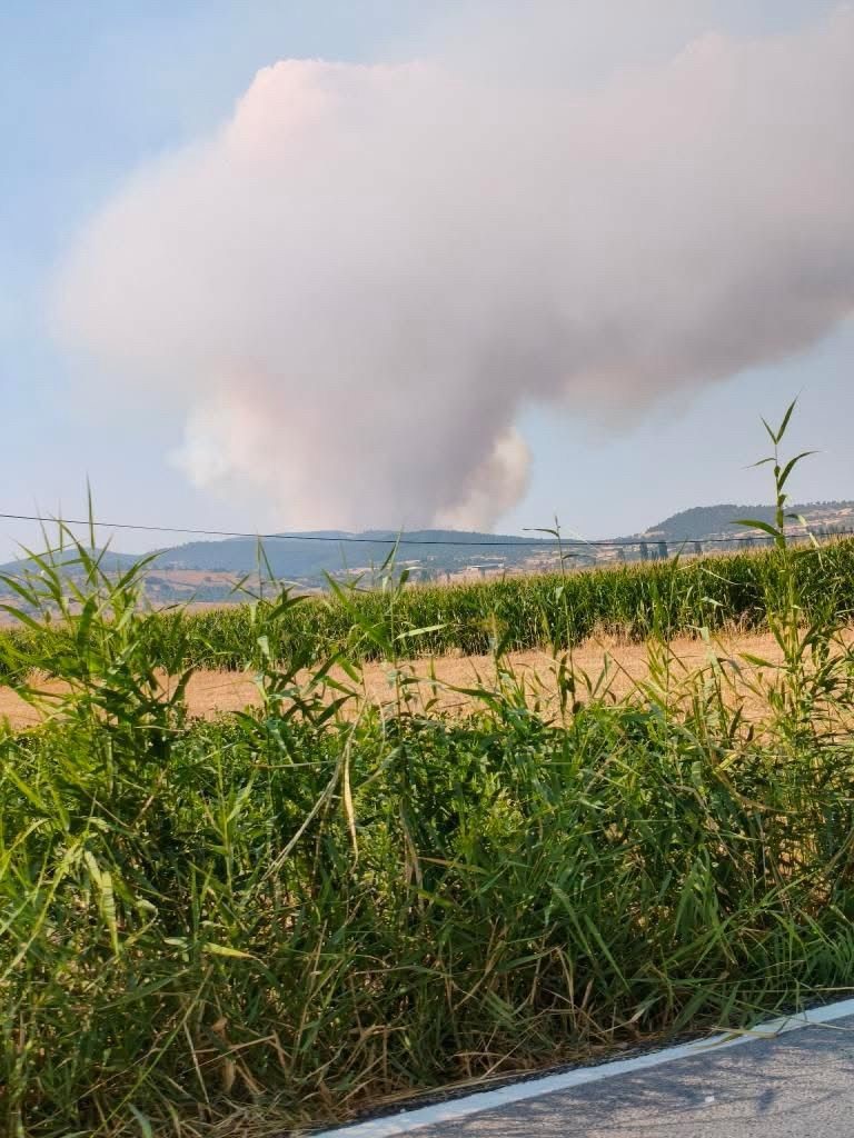 Balıkesir&rsquo;de arazi yangını

