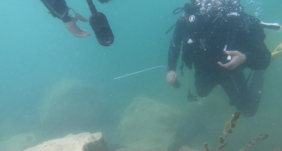 Fırat ve Dicle&rsquo;nin zenginlikleri g&uuml;n y&uuml;z&uuml;ne &ccedil;ıkıyor
