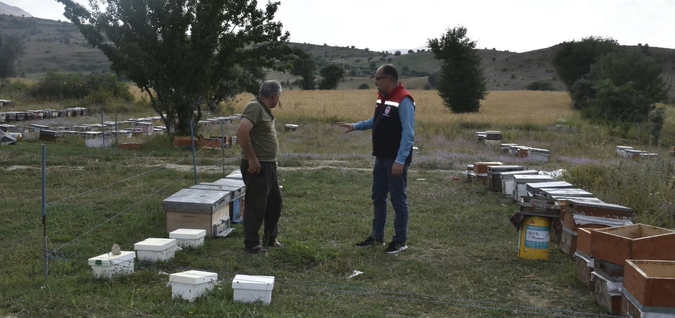 Masat k&ouml;y&uuml;nde bal hasadı değerlendirildi
