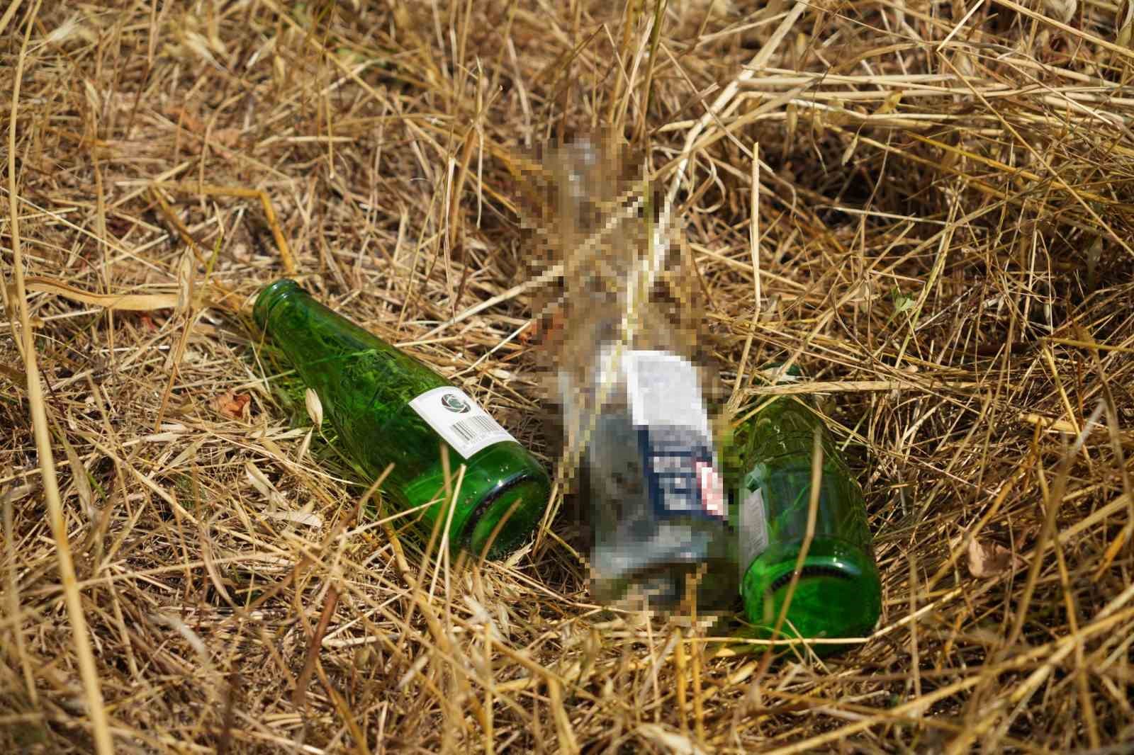 Bolu&rsquo;da anız yakana cezalar arttı: "Yanan alanlar parayla &ouml;l&ccedil;&uuml;lmez"
