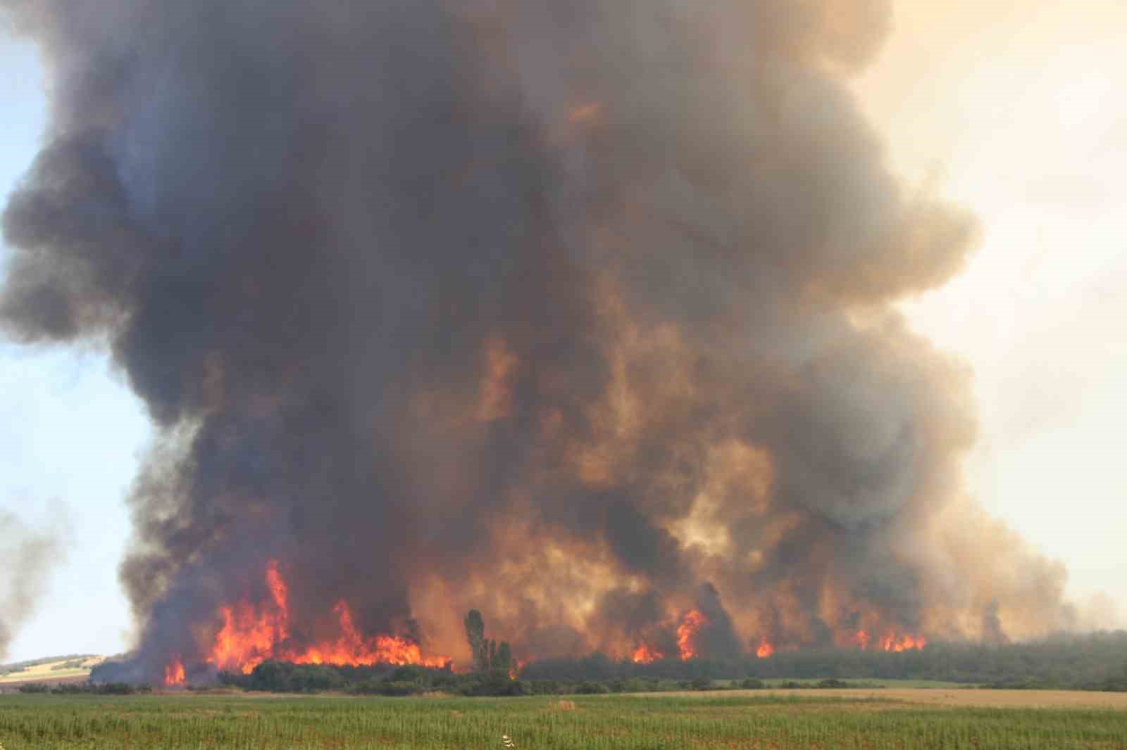 Çanakkale Valiliği’nden yüksek orman yangını riski uyarısı