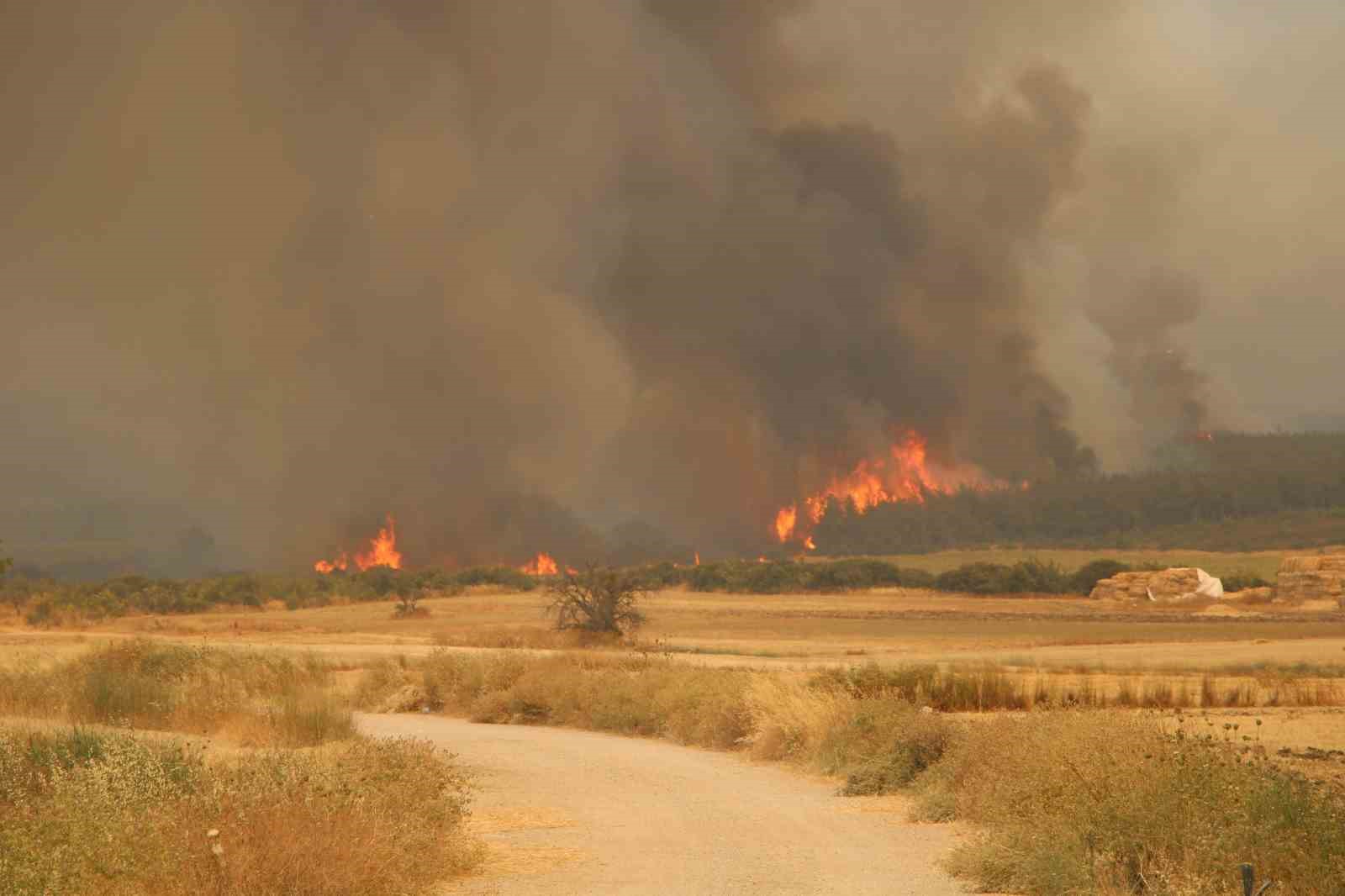 Çanakkale Valiliği’nden yüksek orman yangını riski uyarısı