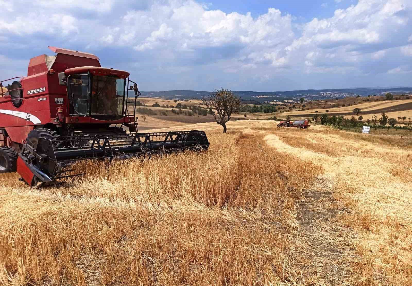 K&uuml;tahya&rsquo;da hububat hasat kontrolleri devam ediyor
