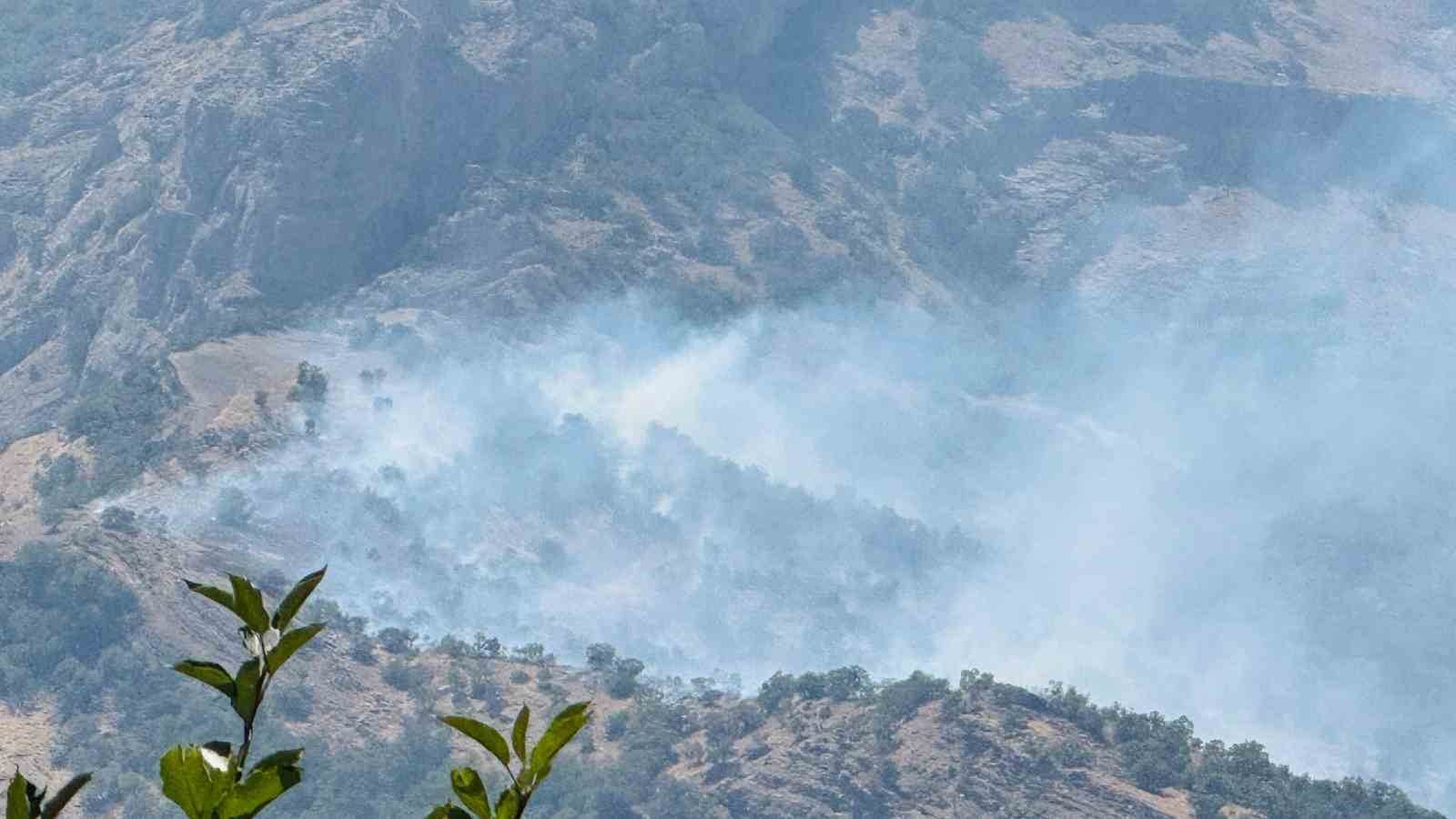 Şırnak’ta orman yangını: Alevler kontrol altına alınamıyor