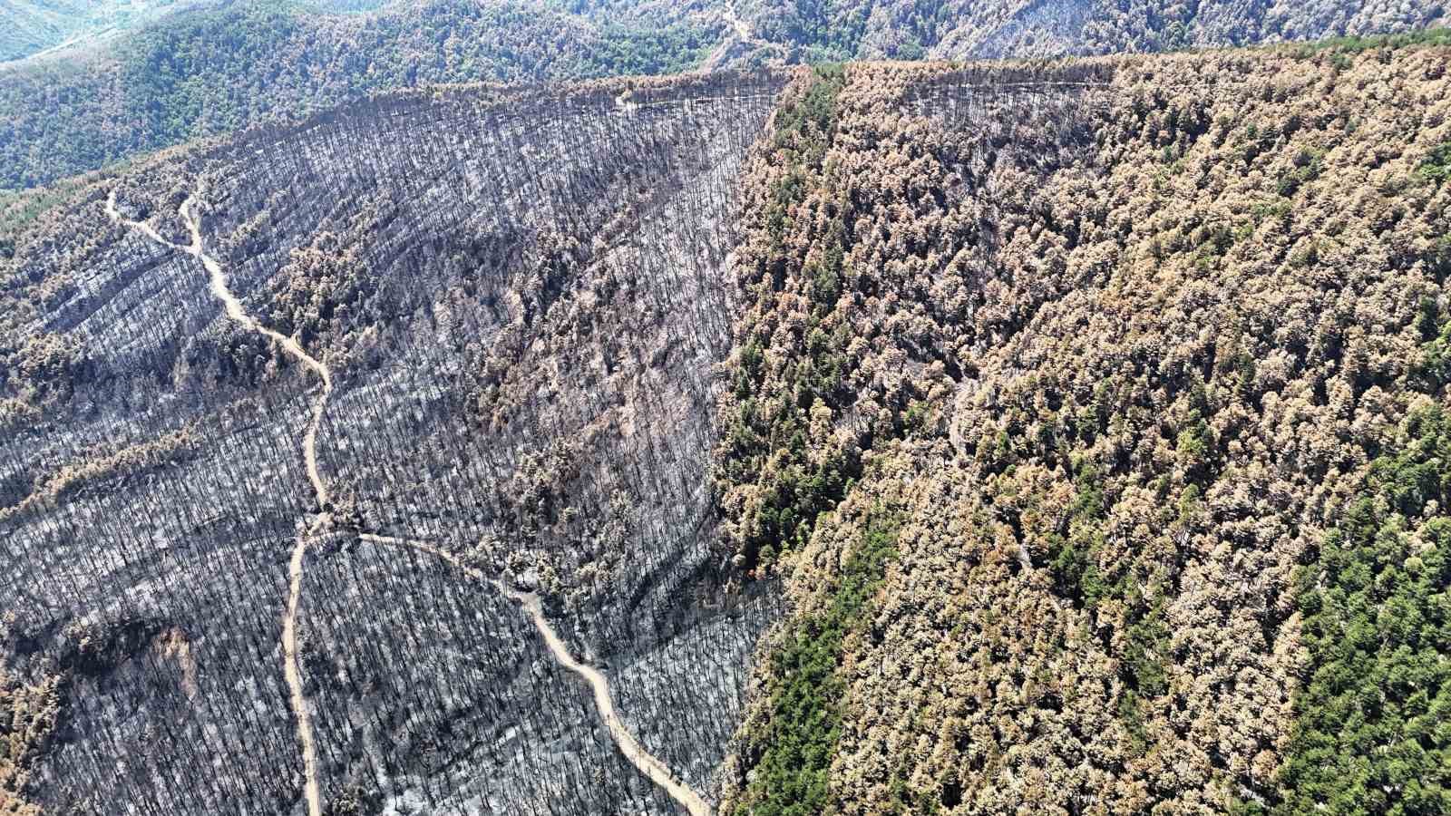 Karabük’te yangın sonrası ormanlar hazan rengine büründü