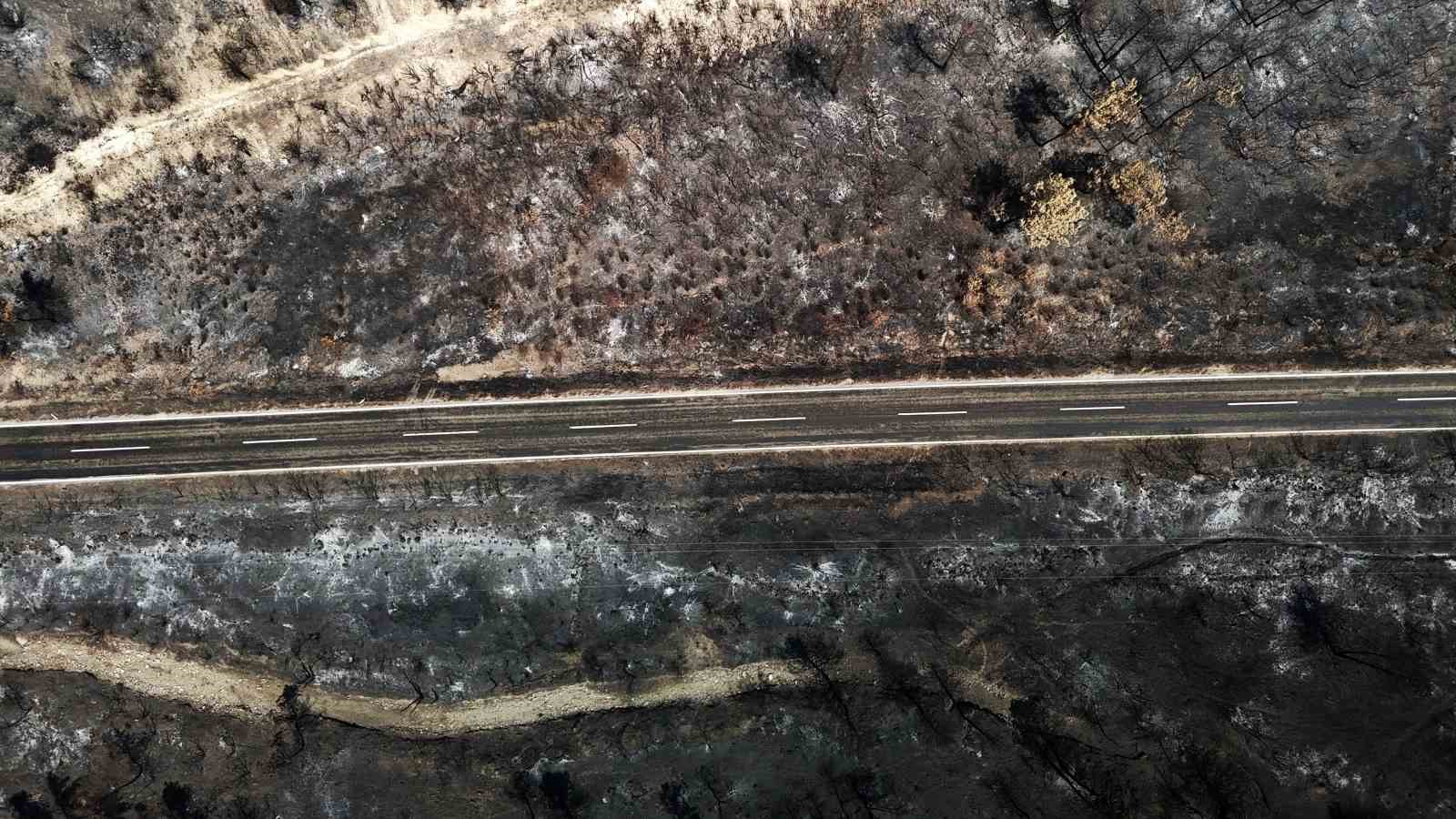 Karabük’te yangın sonrası ormanlar hazan rengine büründü