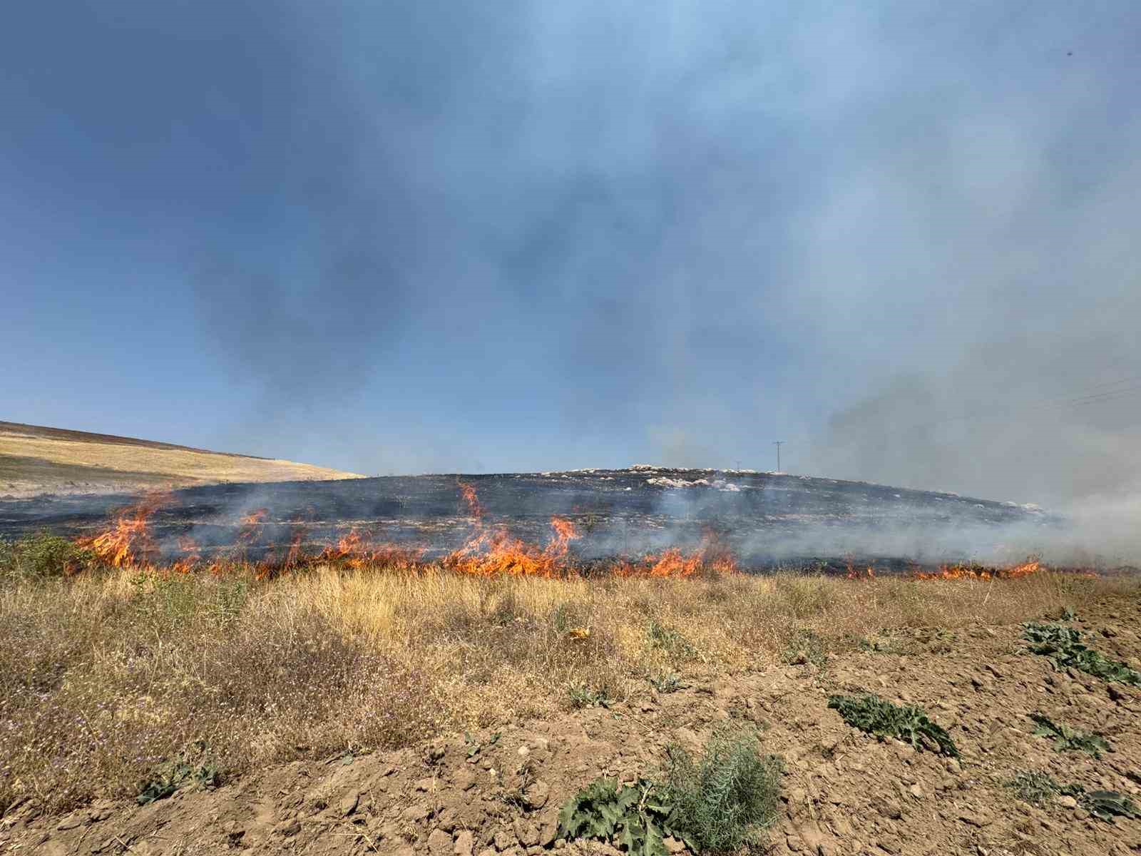 Van’da kuru ot yangını: Yüzlerce dönüm arazi kül oldu