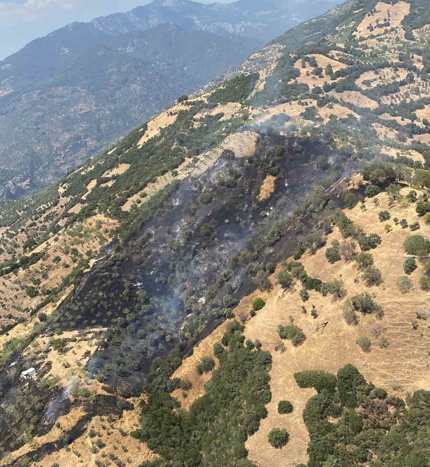 Aydın zirai alan yangını kontrol altına alındı
