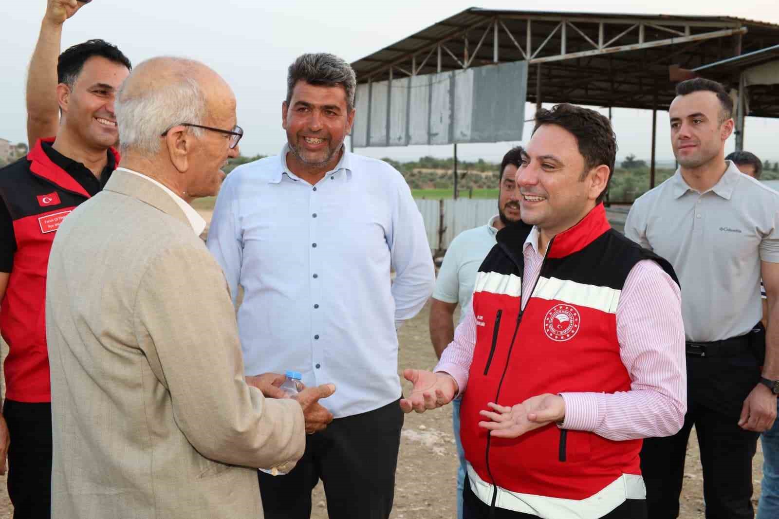 Haliliye&rsquo;de hayvancılığın geliştirilmesi &ccedil;alışmaları s&uuml;r&uuml;yor
