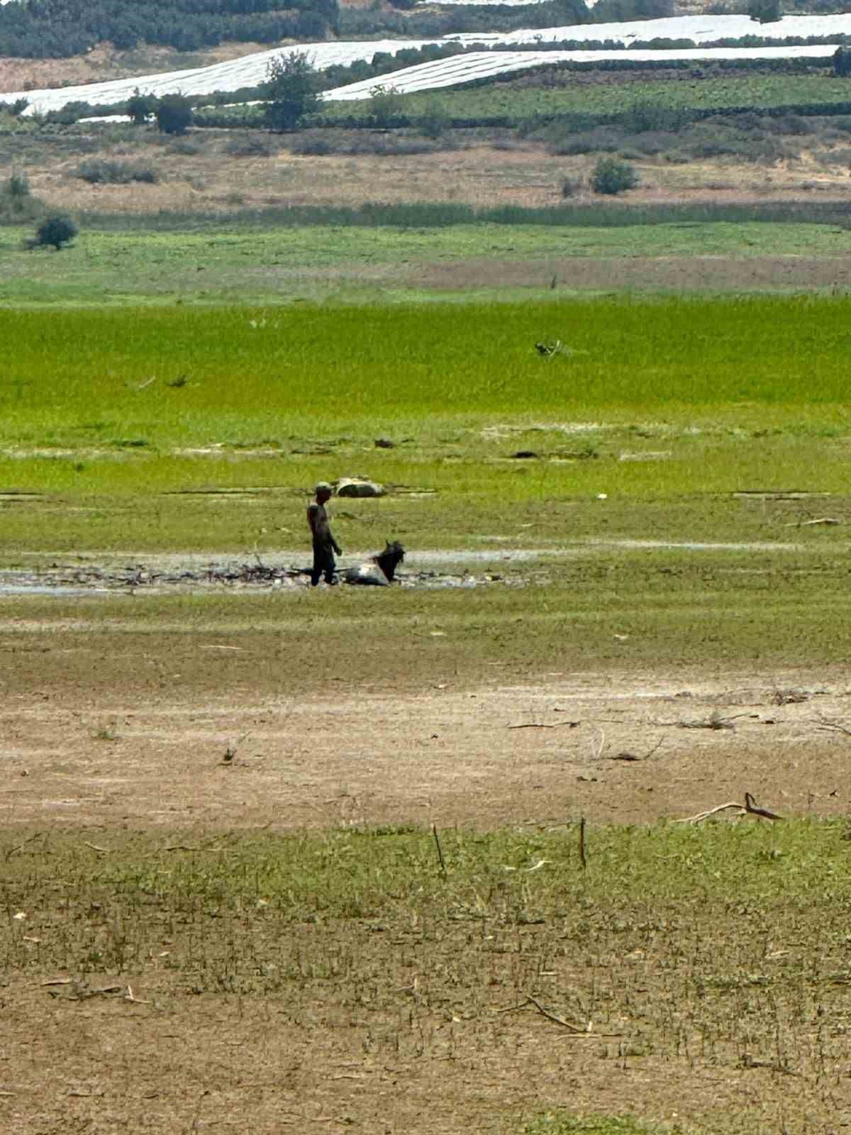 Ekiplerin canhıraş m&uuml;cadelesi takdir topladı
