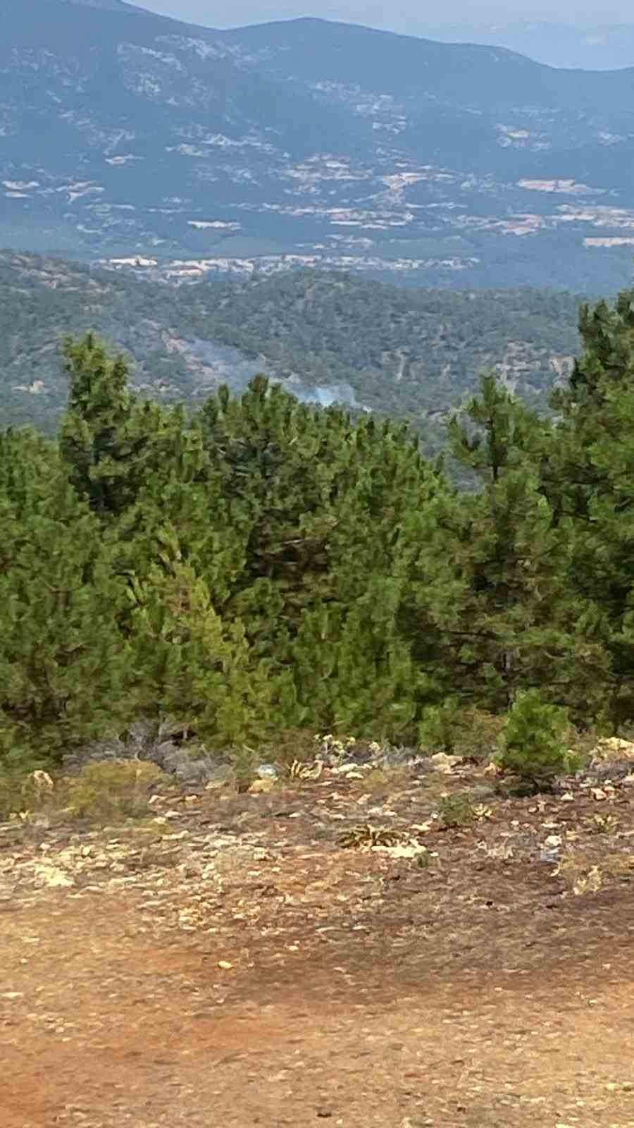 Denizli’de sarp arazide orman yangını başladı