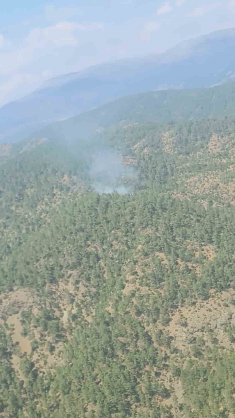 Denizli&rsquo;de sarp arazide orman yangını başladı
