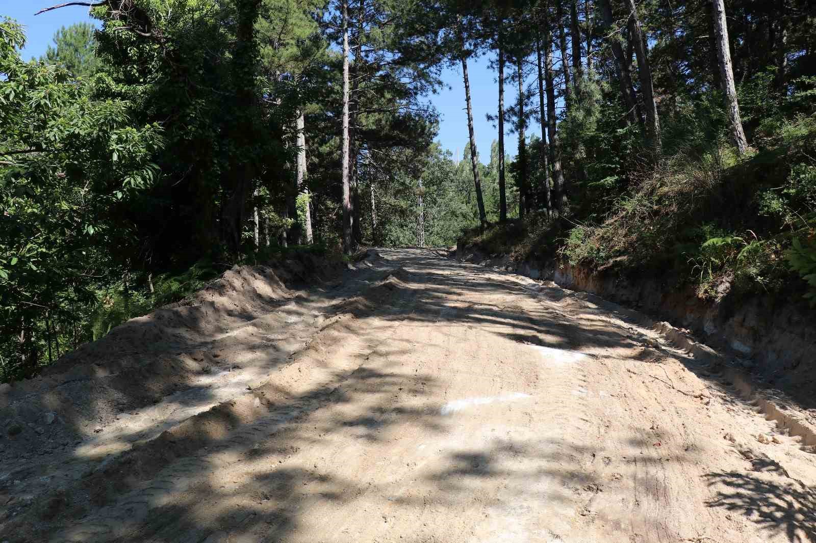 Bozdoğan’da yayla yollarında çalışma başlatıldı