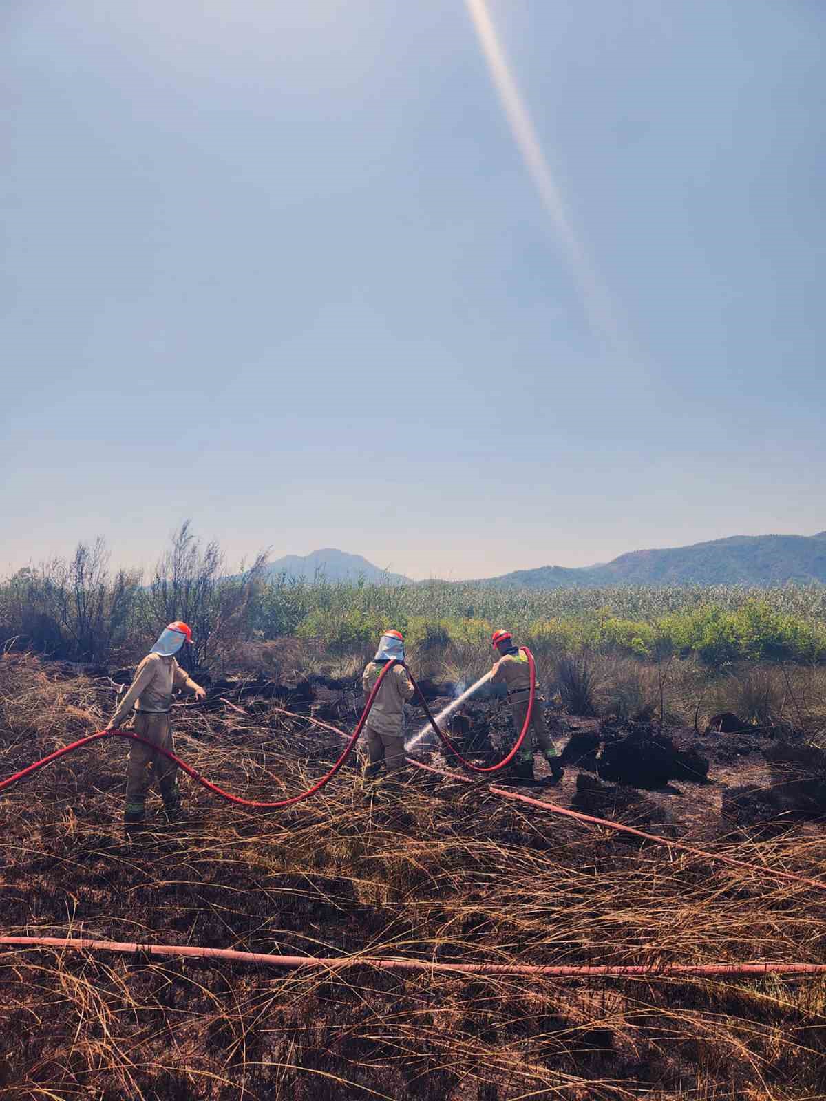 K&ouml;yceğiz sazlık yangınında soğutma &ccedil;alışması yapılıyor

