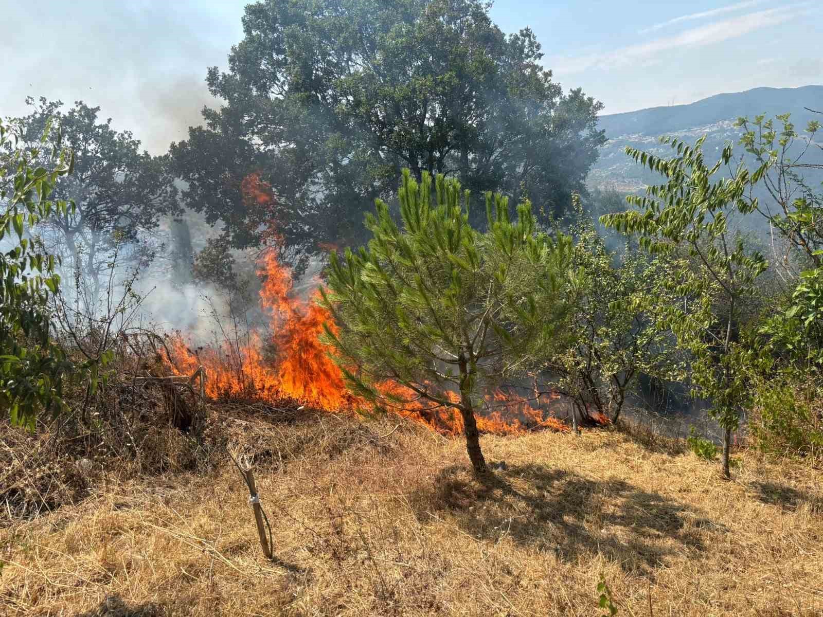 Makilik alanda çıkan yangın ekiplerin hızlı müdahalesiyle söndürüldü