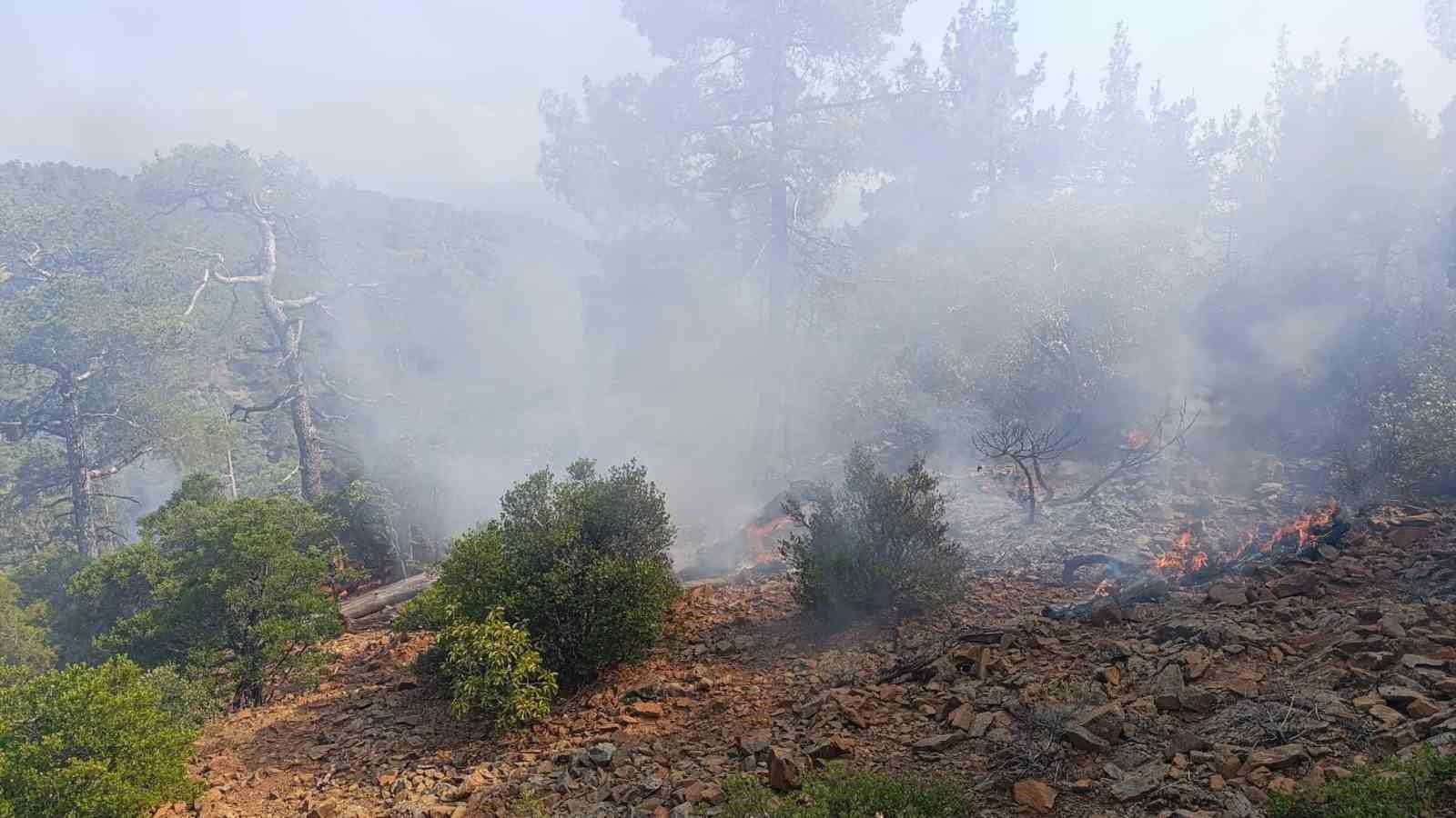 Denizli’de günler önce düşen yıldırım orman yangınına neden oldu