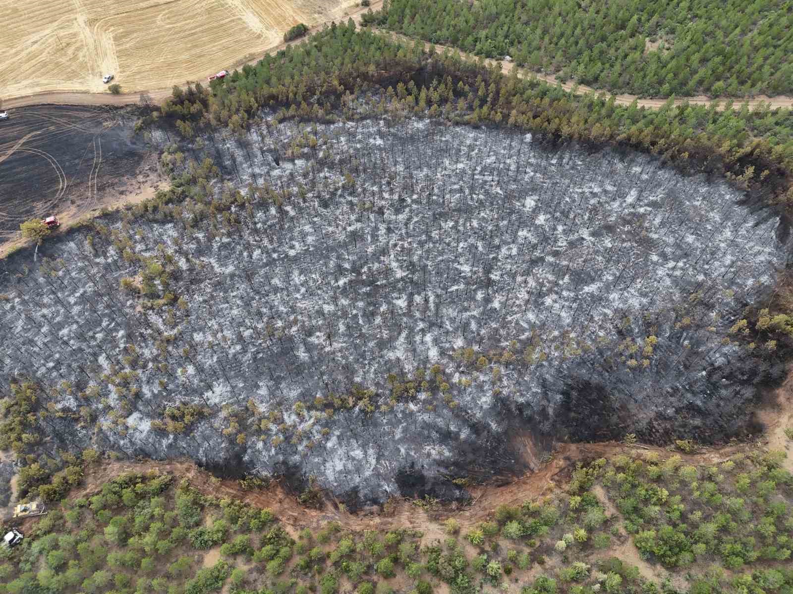 Uşak’ta ormanlık alana sıçrayan yangın söndürüldü