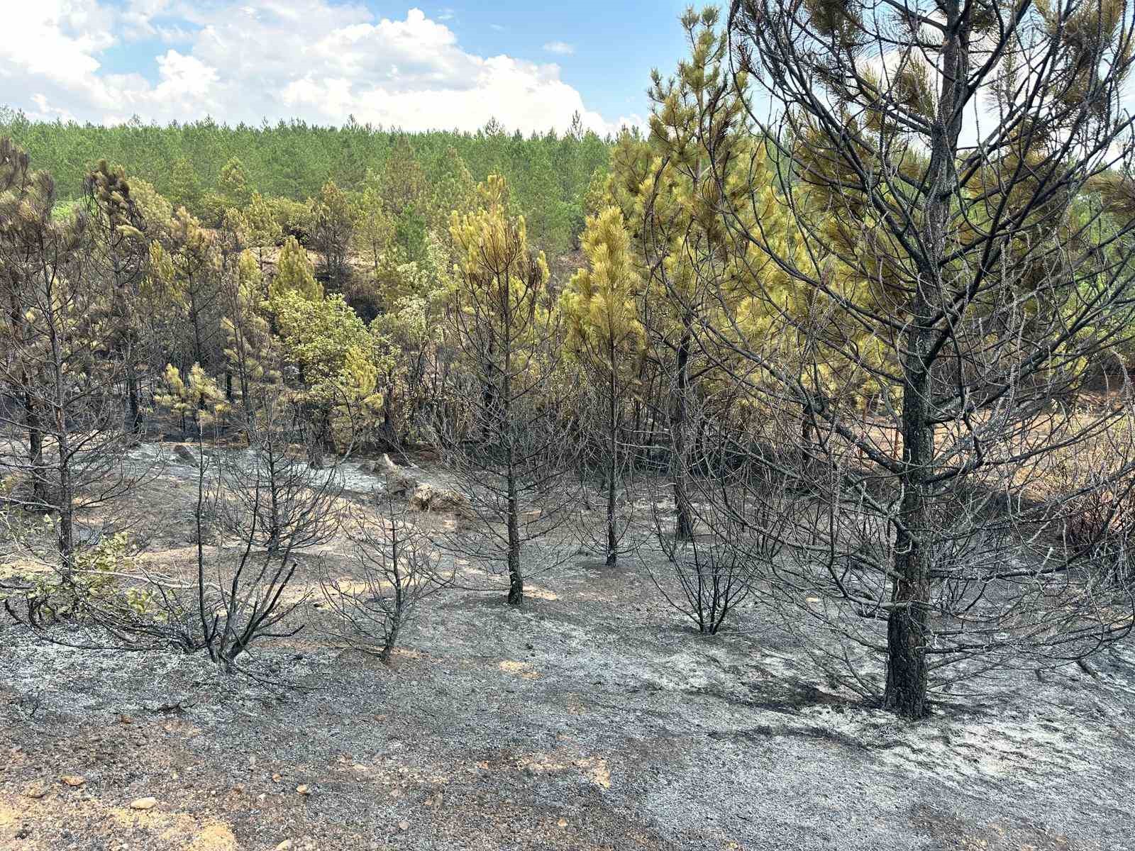 Uşak&rsquo;ta ormanlık alana sı&ccedil;rayan yangın s&ouml;nd&uuml;r&uuml;ld&uuml;

