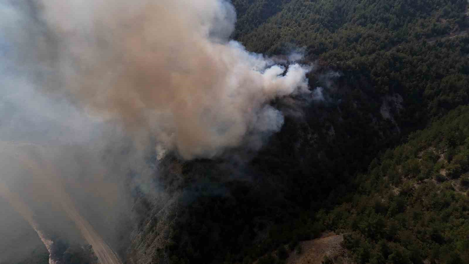 Karab&uuml;k&rsquo;teki orman yangını 2 saatte kontrol altına alındı
