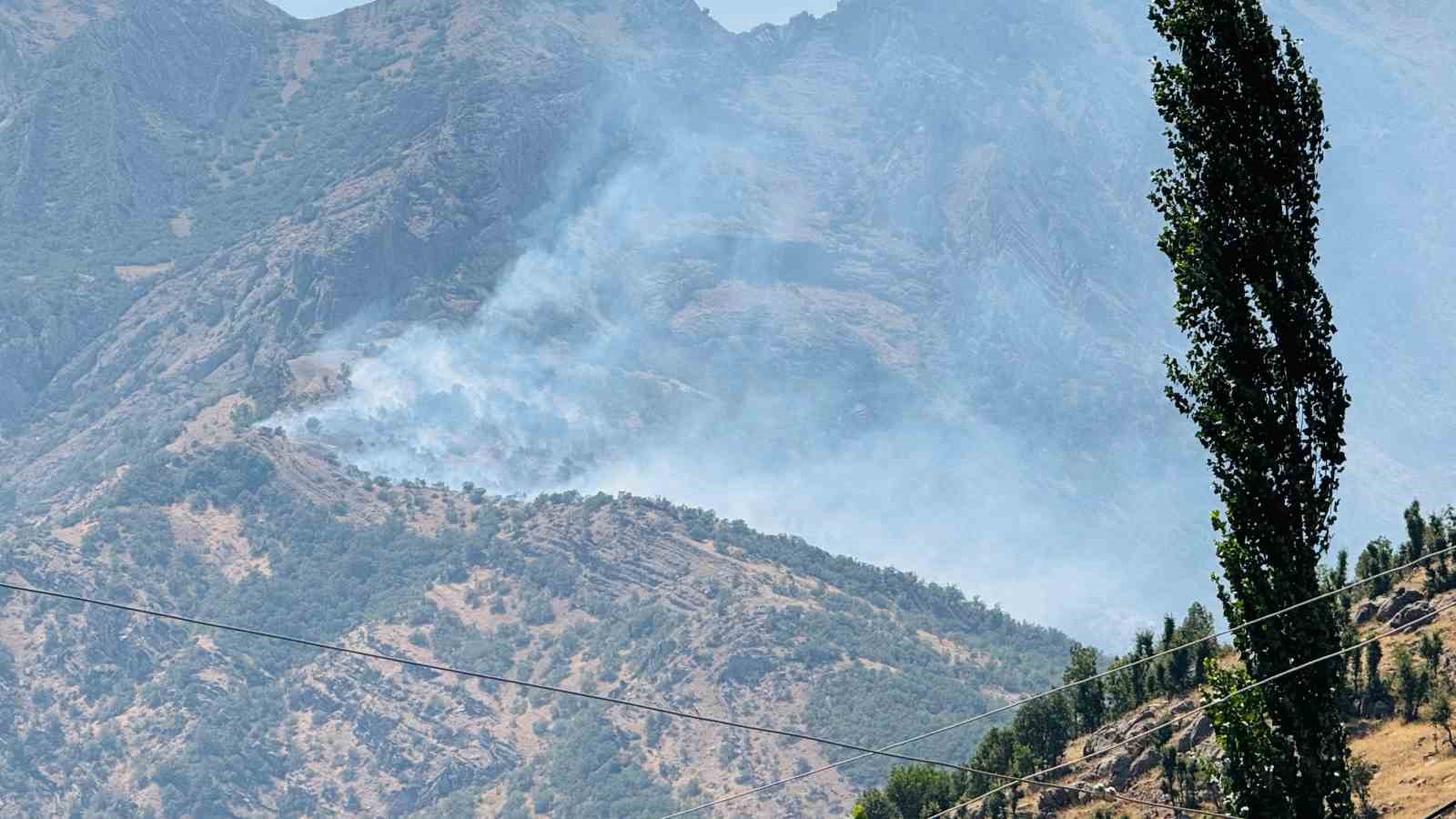 Şırnak’taki orman yangını 9 saatte kontrol altına alındı
