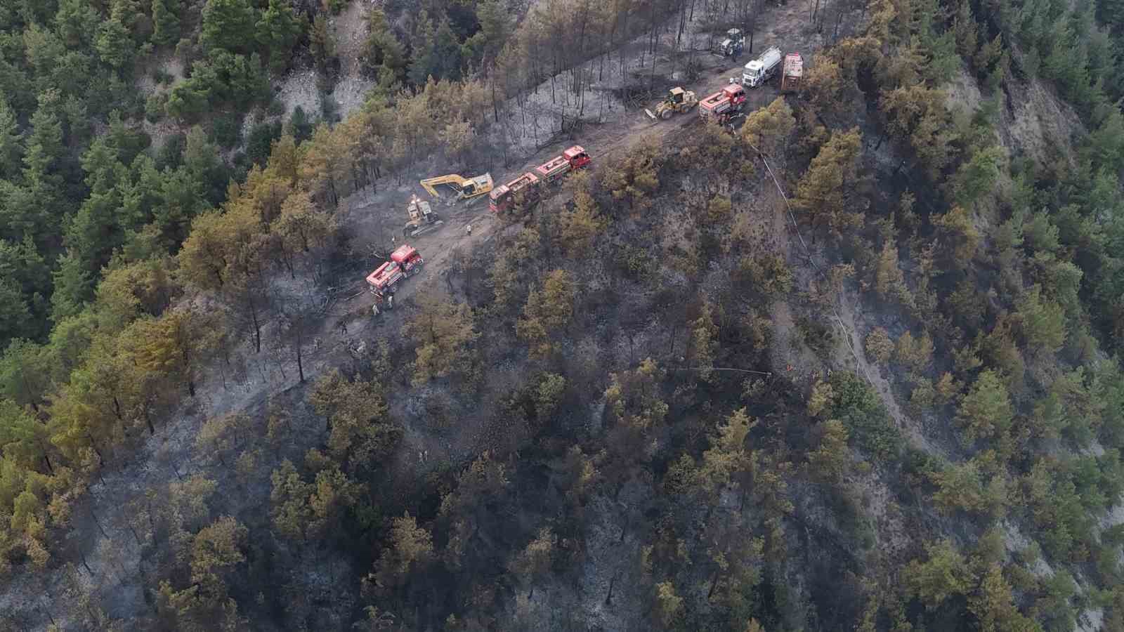 Orman yangınında zarar gören alanlar dronla görüntülendi