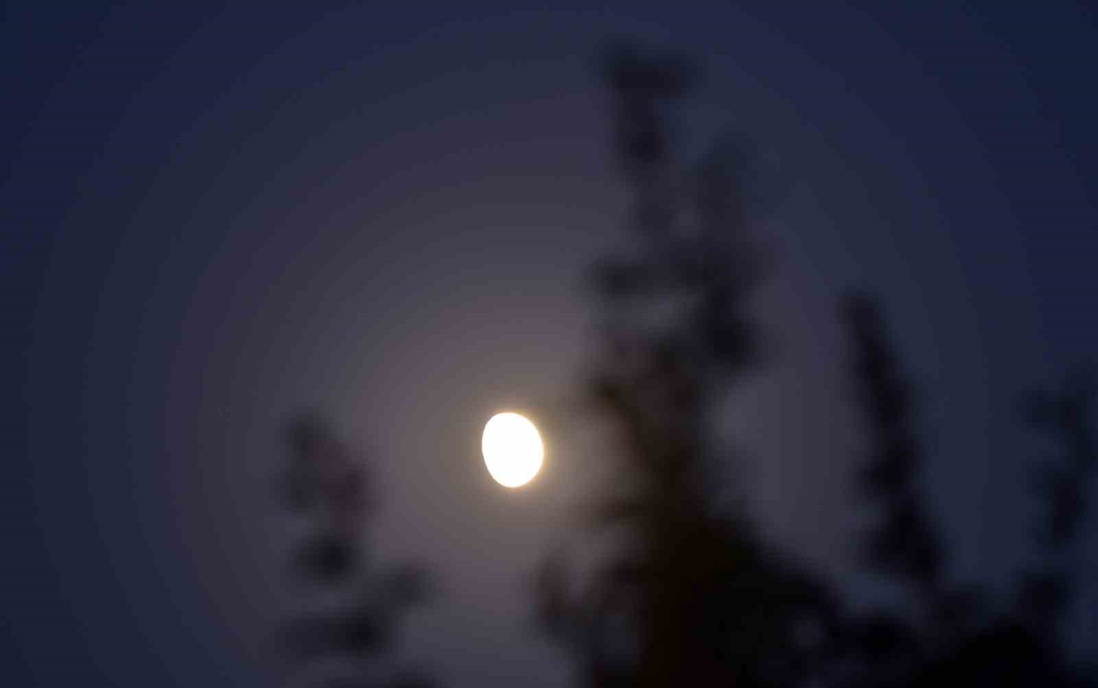 Ahlat semalarında kartpostallık "Şişkin Ay" manzarası
