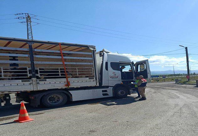 Jandarma ekiplerinden düzensiz göçmen operasyonu