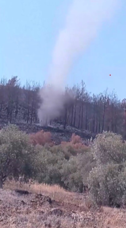 Yangının küle çevirdiği ormanlık alanda çıkan hortumlar kamerada