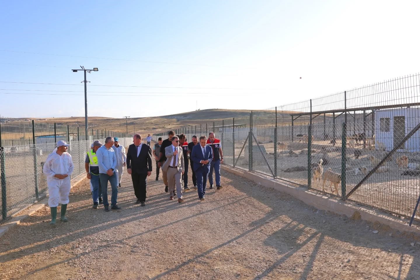 Bayburt’ta Hayvan Bakım Evi ve Doğal Yaşam Alanı ile hayvan barınağında incelemeler yapıldı