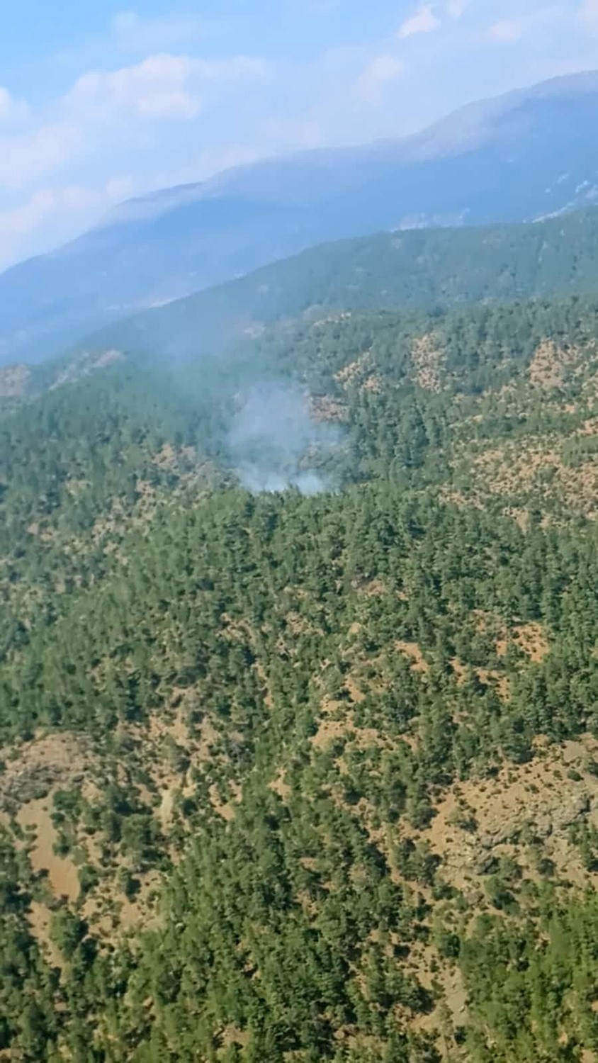 Sarp araziye 2 kilometre hortum &ccedil;eken ateş savaş&ccedil;ıları yangını s&ouml;nd&uuml;rd&uuml;
