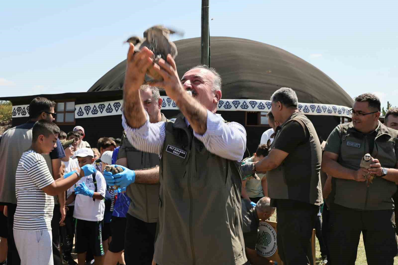 Çorum’da 120 kınalı keklik doğaya salındı