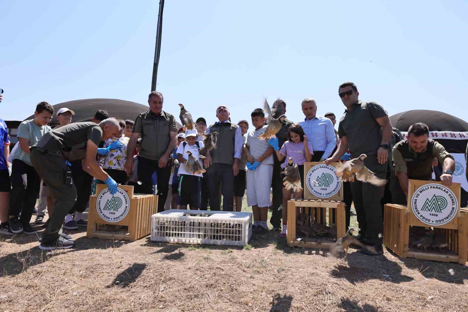 Çorum’da 120 kınalı keklik doğaya salındı