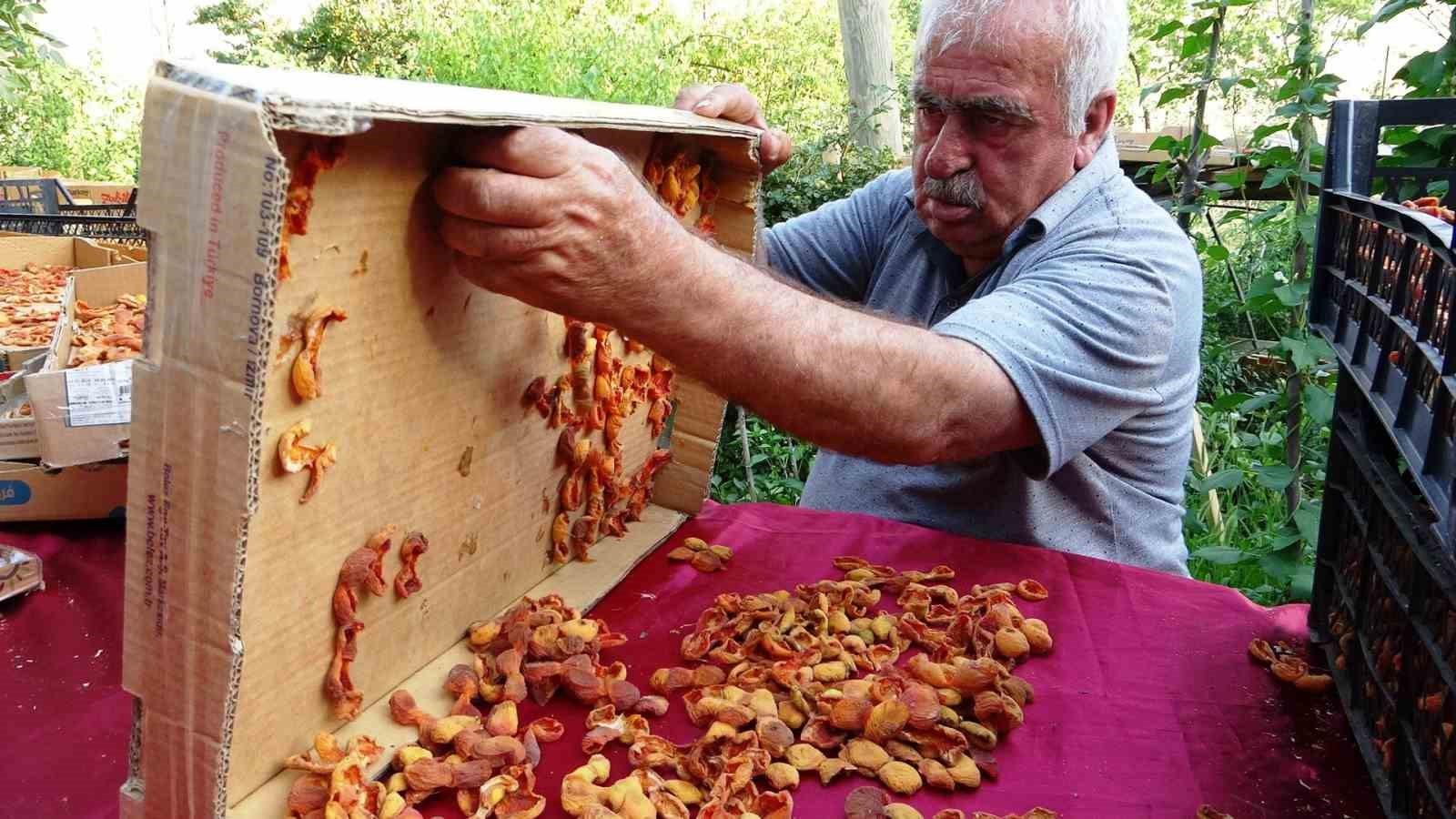 Van&rsquo;da kayısı kurutma d&ouml;nemi başladı
