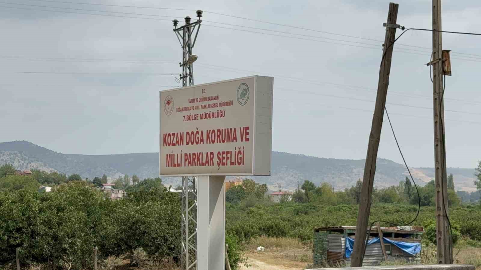 Ebabil kuşunu esnaf hayatta tutmaya çalıştı