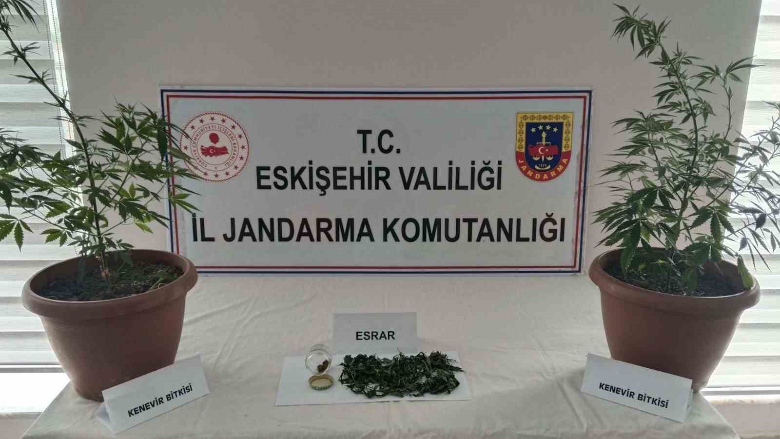 Balkondaki saksıların içinde  2 kök kenevir ve 47 gram esrar maddesi ele geçirildi