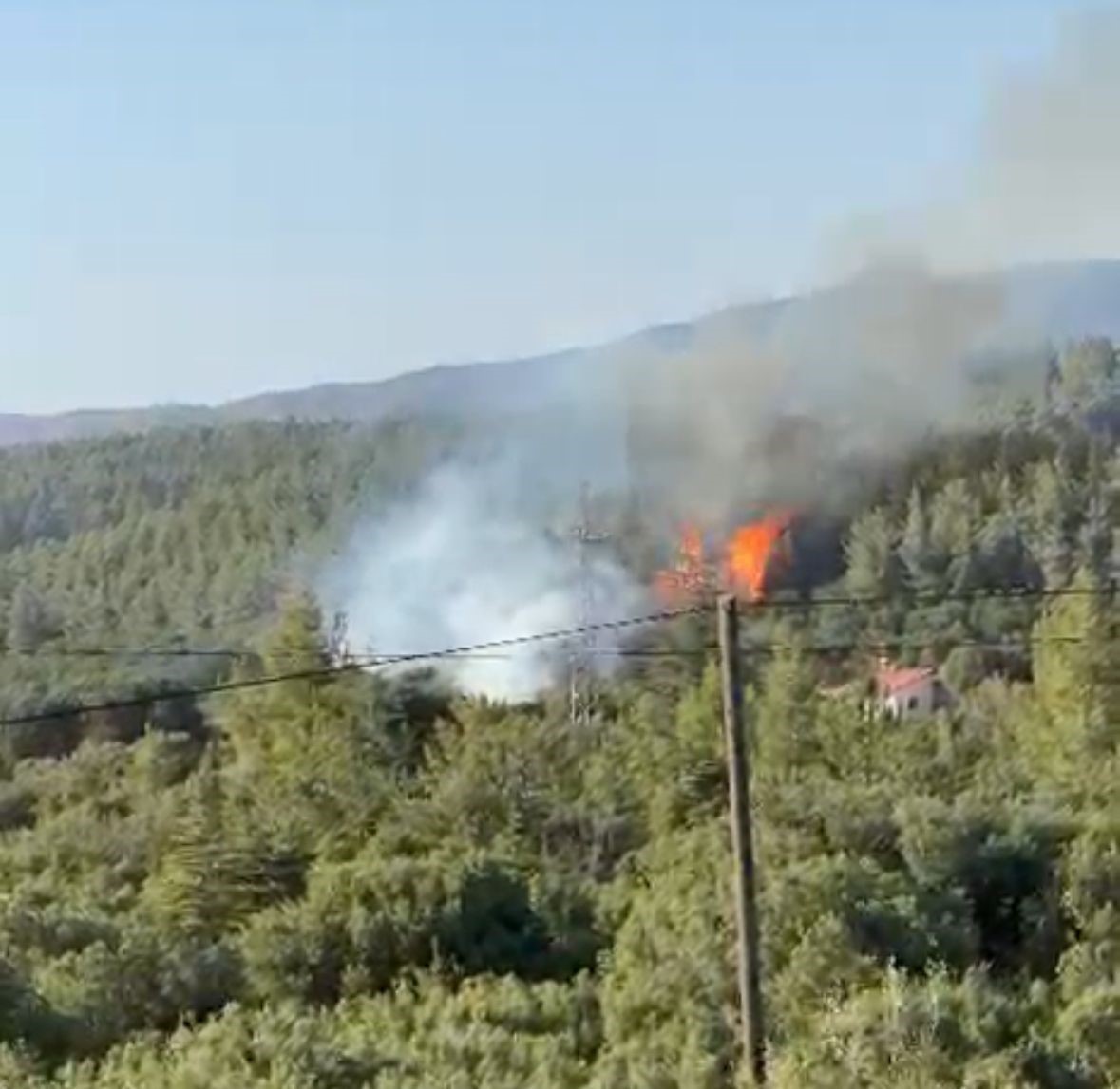 Tavas’ın ciğerlerini ateşe veren kundakçılardan akıl almaz tuzak